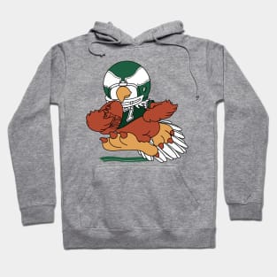 Old School Bird Hoodie